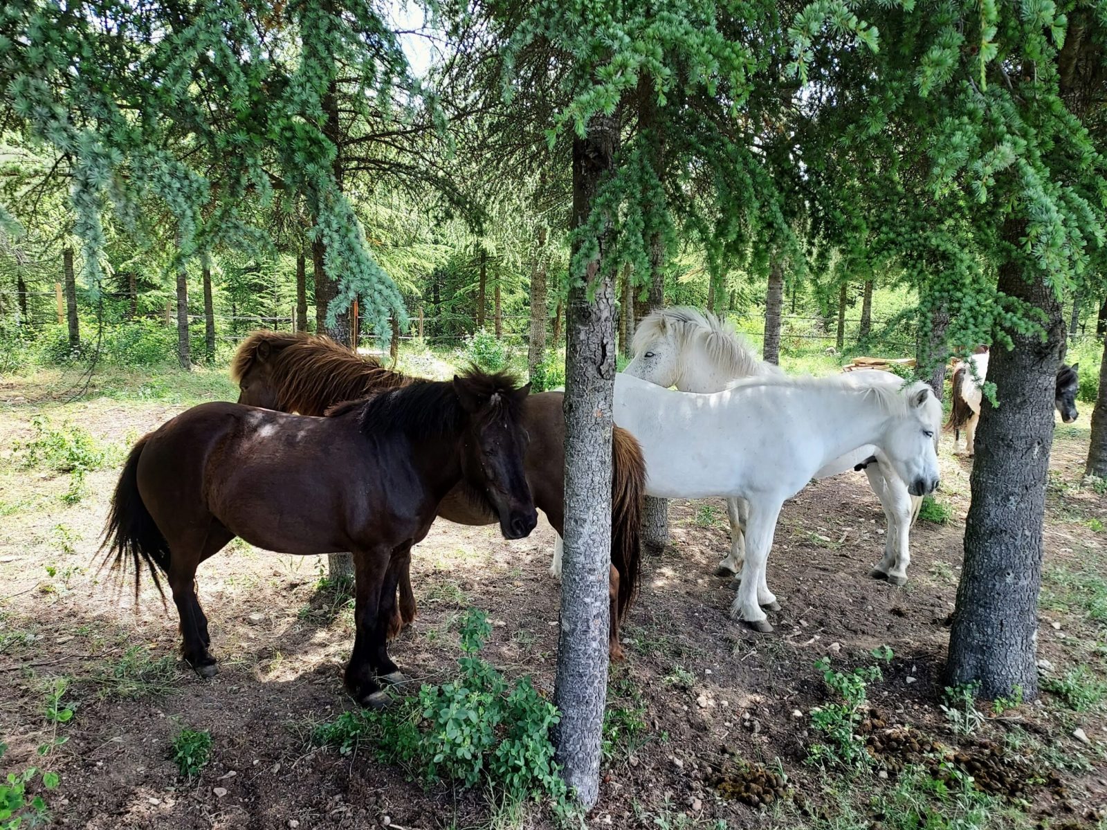 Domaine Fournery Baraud 036