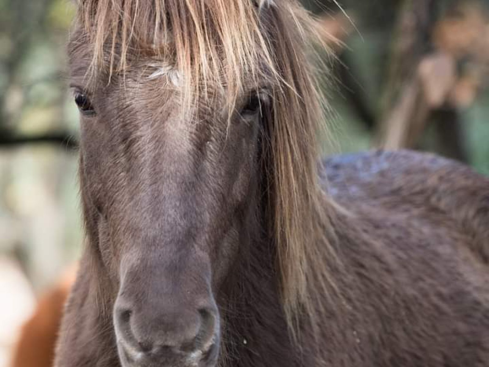 Domaine Fournery Baraud 036