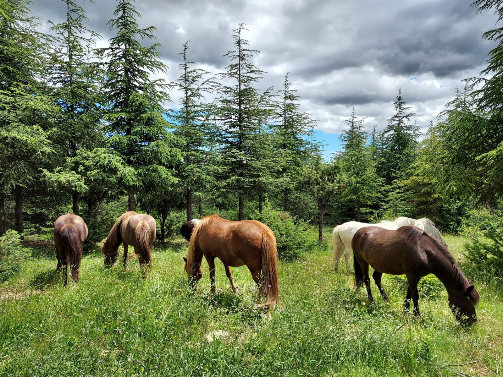 Domaine Fournery Baraud 037