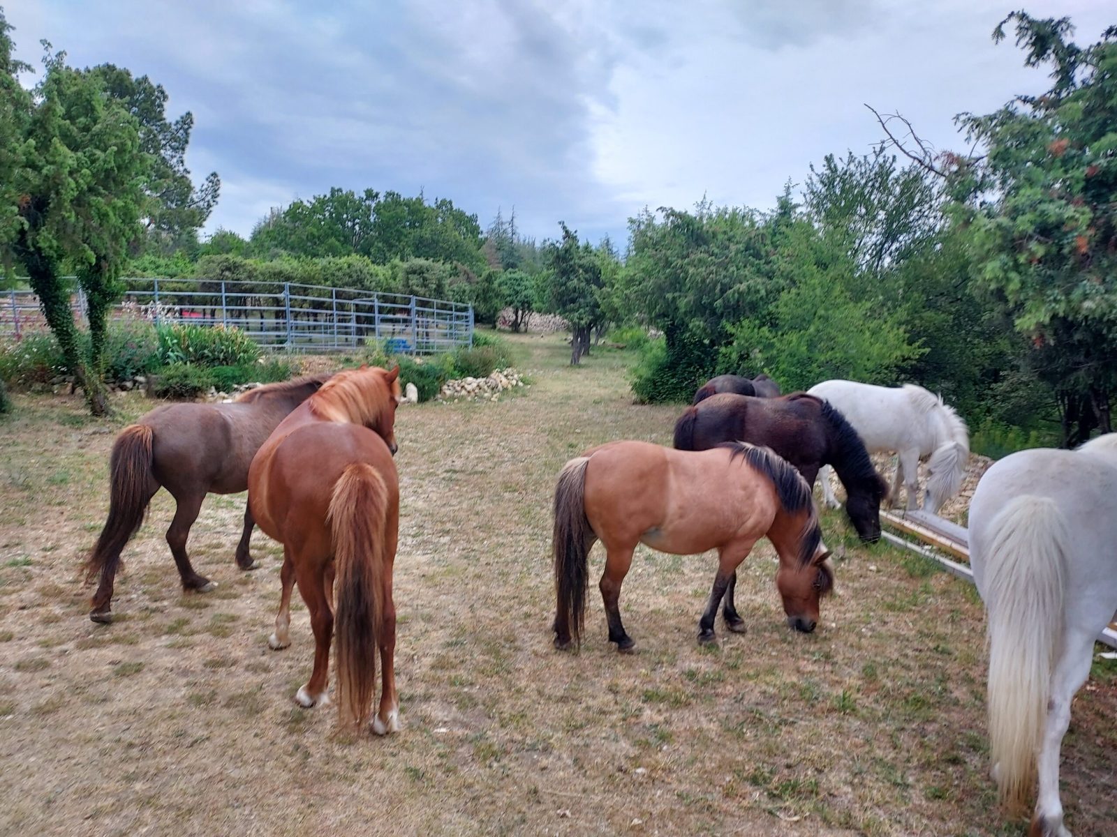 Domaine Fournery Baraud 037