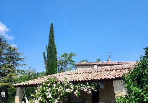 Img 20200215 132351411